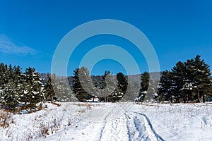 Winter landscape, dirt road covered with snow