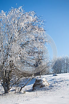 Winter landscape in dolnoslaskie, Poland