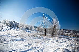 Winter landscape in dolnoslaskie, Poland photo