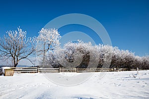 Winter landscape in dolnoslaskie, Poland