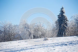 Winter landscape in dolnoslaskie, Poland photo