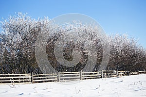 Winter landscape in dolnoslaskie, Poland