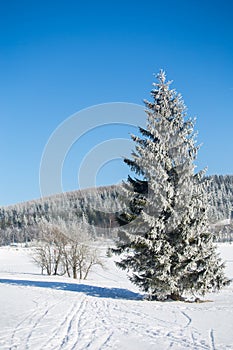 Winter landscape in dolnoslaskie, Poland photo