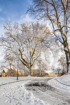 Winter landscape in Dresden