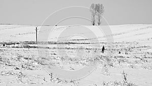 Winter landscape with dried plants, trees and peerson passing by