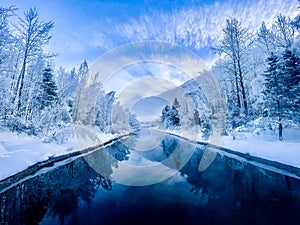 Winter Landscape