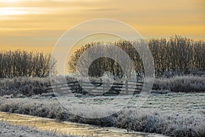 Winter landscape with entrance gate and row of trees against breaking sun