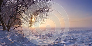 Winter landscape in the evening at sunset. Snow, frost in january. Winter nature background. Trees in sunlight photo