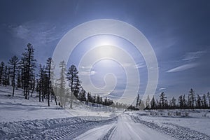 Winter landscape with fair trees under the snow. Scenery for the tourists. Christmas holidays