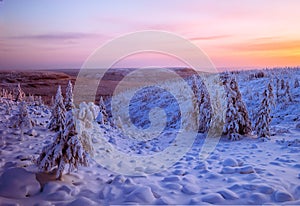 Winter landscape with fair trees under the snow. Scenery for the tourists. Christmas holidays.