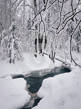 Winter landscape, Fairy forest in snow, Lake in winter, Russia