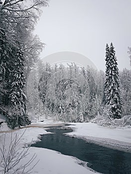 Winter landscape, Fairy forest in snow, Lake in winter, Russia