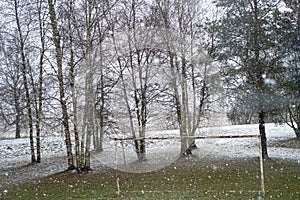 Winter landscape, falling snow. Photo taken from the bus window. Soft focus. cloudy day in December in Estonia.