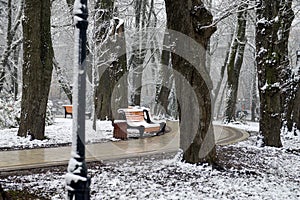 Winter landscape with falling snowflakes - bench covered with sn
