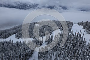 Winter scenery in Canada photo