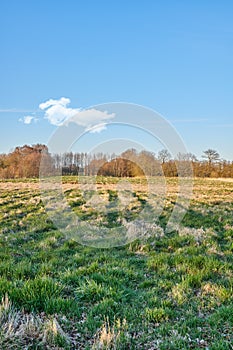 Winter landscape on a farm with trees in a row against a cloudy sky copy space background over the horizon. Snowy plowed