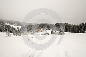 winter landscape with few houses, snow covered meadowss, hills and forest