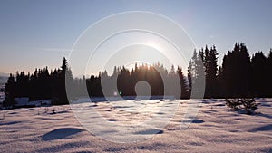 Winter Landscape with on field and pine tree forest. Christmas time