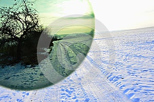 Winter landscape with field road and trees as seen through green photocrhomatic eyewear lens with UV filter.