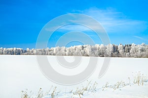 Winter landscape with a field snow and the blue sky