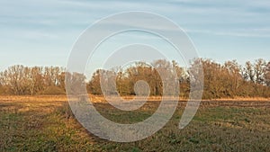 Winter landscape with fields and bare trees in Flanders