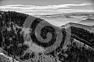 Winter landscape, fir forest covered by snow and mountain peaks in the distance, Mt. Kopaonik, Serbia