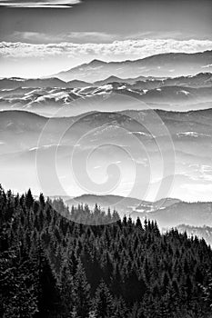 Winter landscape, fir forest covered by snow and mountain peaks in the distance, Mt. Kopaonik, Serbia