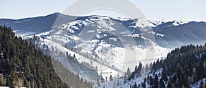 Winter landscape with fir tree forest and snowy meadows