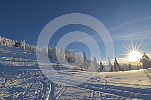 Winter landscape with fir trees forest covered by heavy snow in Postavaru mountain