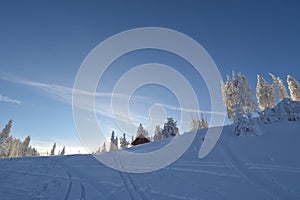 Winter landscape with fir trees forest covered by heavy snow in Postavaru mountain