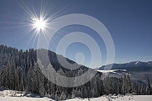 Winter landscape with fir trees forest covered by heavy snow in Postavaru mountain, Poiana Brasov resort,