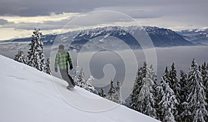 Winter landscape with fir trees forest covered by heavy snow in Postavaru mountain, Poiana Brasov resort