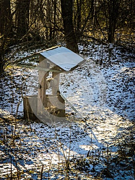 Winter landscape with the first snow in Central Russia.