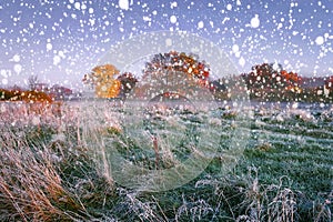 Winter landscape with first snowflakes on frosty meadow in November. Scenery snowy autumn at early morning.