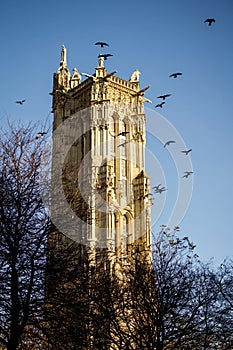 Winter landscape of a flight of birds from the top of the Tour Saint Jacques in Paris