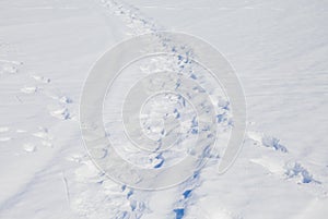 Winter landscape with a footpath