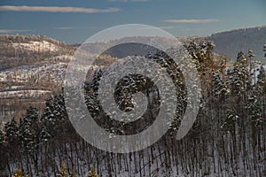 Winter landscape in the forest