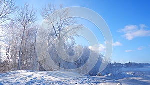 Winter landscape of the forest at the edge of a river