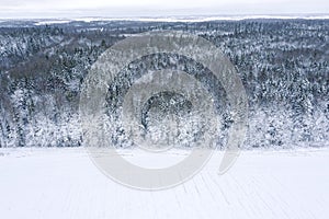 Winter landscape with forest edge and snow-covered fields. aerial view