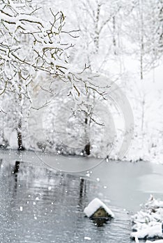 Winter landscape forest and frozen river. tree branch under snow in winter snowing day