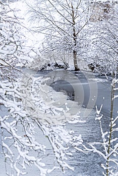 Winter landscape forest and frozen river. tree branch under snow in winter snowing day