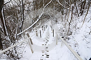 Winter landscape in the forest, a ladder with steps down