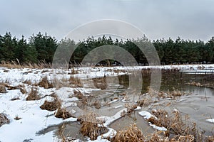 Winter landscape with a forest lake and a mysterious foggy forest. A secluded lake in the middle of a forest with blocks of ice