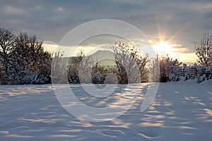 Winter landscape, forest and mountains in the snow