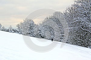 Winter landscape, forest and mountains in the snow