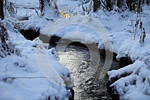 winter landscape, a forest stream is covered with thin ice