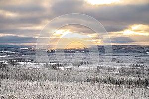 Winter landscape with forest, trees covered snow and sunray coming through the clouds. Winterly morning of a new day. Cloudy