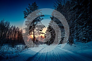 Winter landscape with forest, trees and sunrise. Winterly morning of a new day. Forest in the Russia.