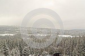 Winter landscape of forested mountains in Harz region, Germany