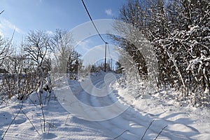 Winter landscape of forests and fields covered with snow